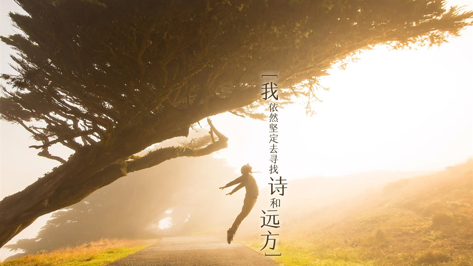 九游9游-足球与科技融合展览展示训练新趋势，足球和科技之间的联系