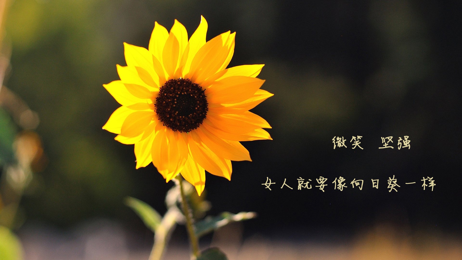 IG战队推动“电子竞技与传统体育融合”项目