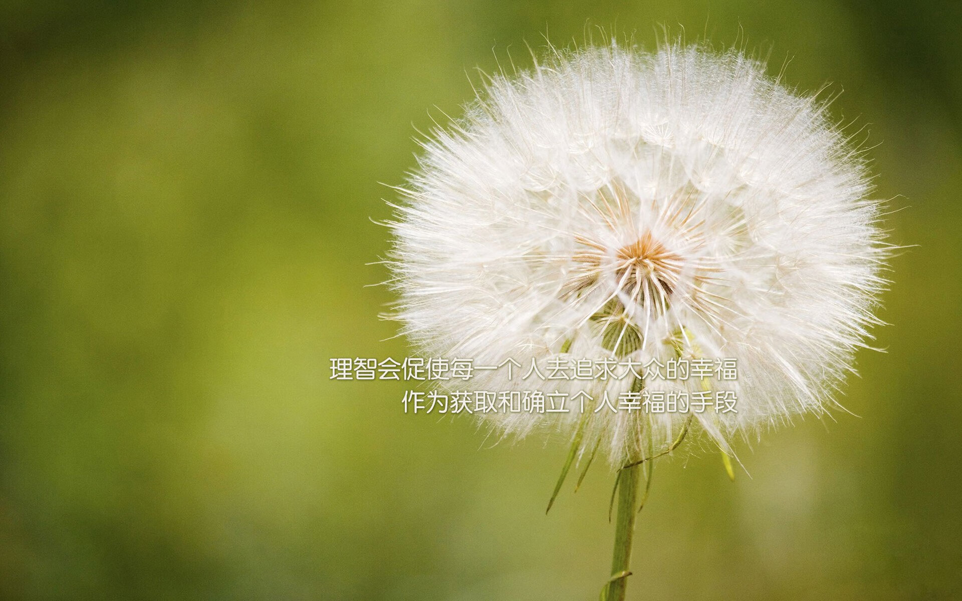 九游娱乐APP-中国男篮分析比赛录像 精准修正战术漏洞，中国男篮蓝队录像回放