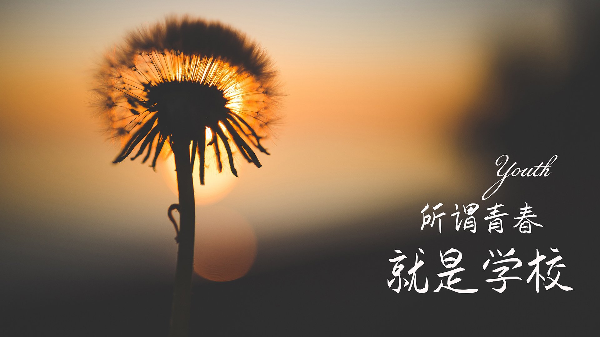 青少年篮球全国测评标准发布涵盖战术意识与身体素质,青少年篮球考核标准